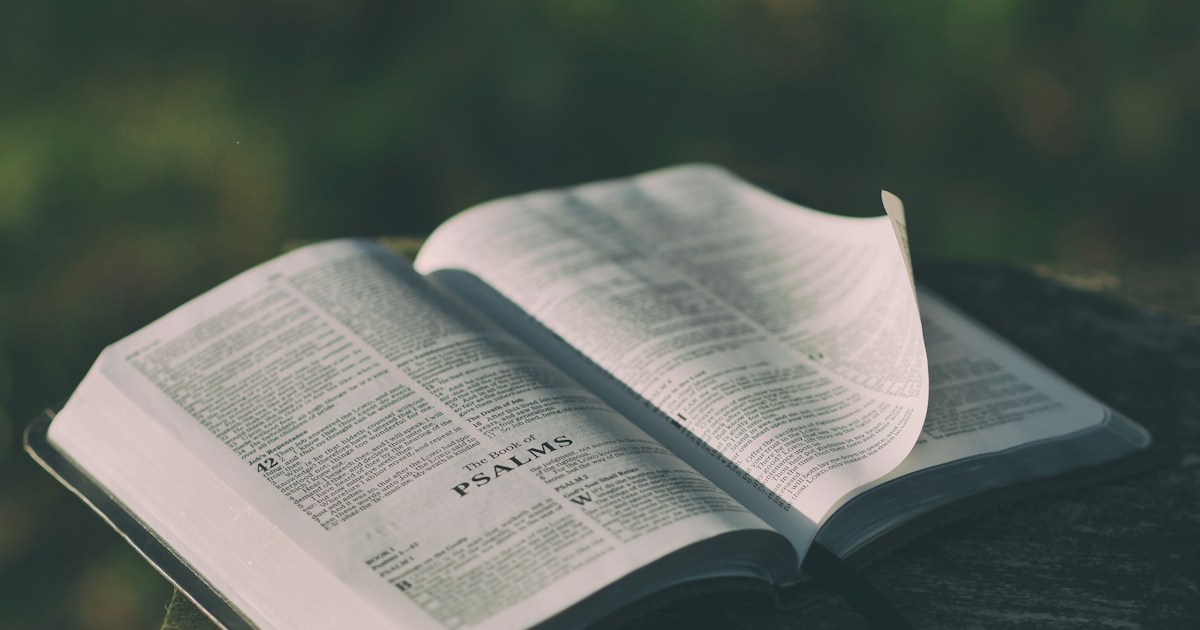 Una Biblia abierta, con algunas páginas levantadas, sobre una superficie gris.